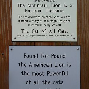 Cougar Exhibit Sign