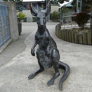 Kangaroo Statue