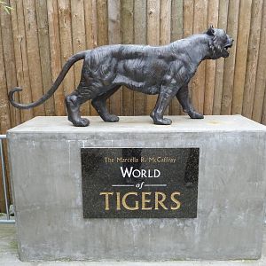 Tiger Statue