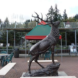 Elk Statue