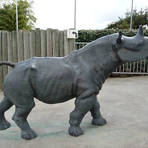 Black Rhino Statue
