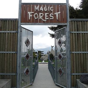 Magic Forest Entrance