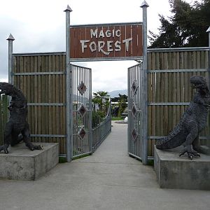 Magic Forest Entrance