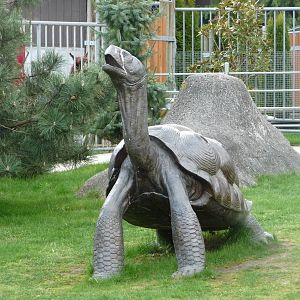 Galapagos Tortoise Statue