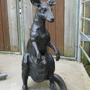 Kangaroo Statue