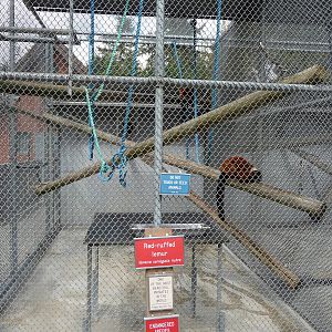 Red Ruffed Lemur Cage
