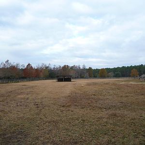 Somali Wild Ass Enclosure