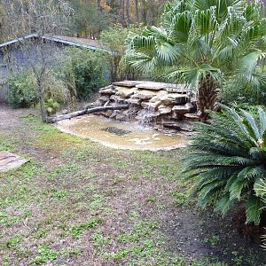 Komodo Dragon Enclosure