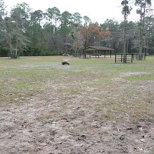 Indian Rhino Enclosure