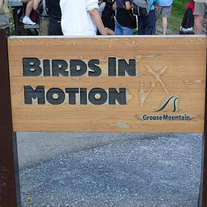 Raptor Show - Sign