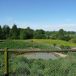 Multi-Acre African Wild Dog Enclosure