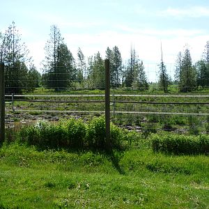 Indian Rhino Enclosure