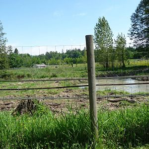 Indian Rhino Enclosure