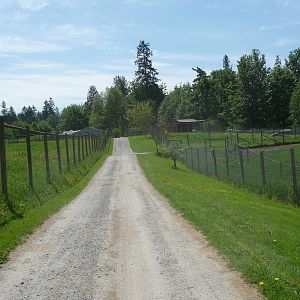 Pathway Between Multi-Acre Enclosures