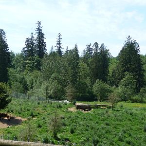 Multi-Acre African Wild Dog Enclosure