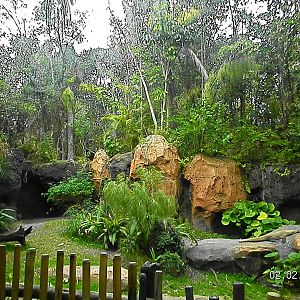 Komodo Dragon Exhibit