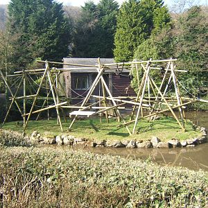 Spider Monkey enclosure