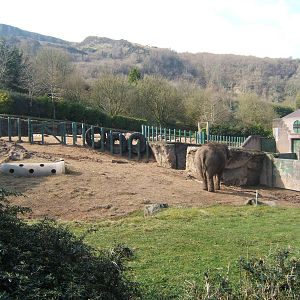 View of Elephant enclosure