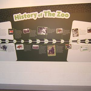 Belfast zoo History timeline