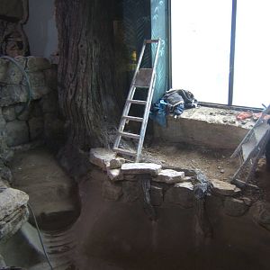 View of Crocodile enclosure re-furb