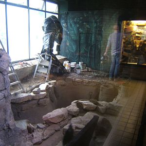 View of Crocodile enclosure re-furb