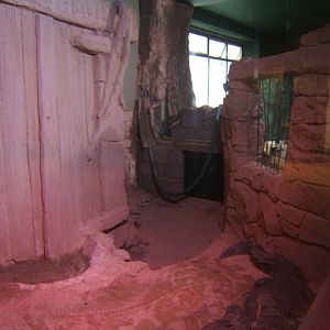 View of Crocodile enclosure re-furb