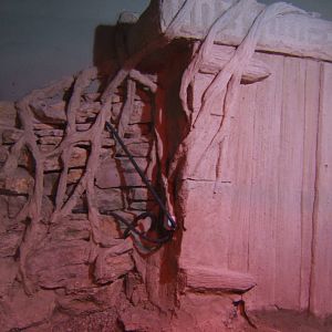View of Crocodile enclosure re-furb