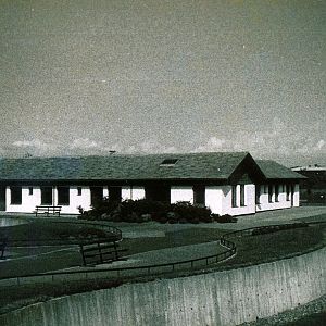 Zabra, Llama and Tapir House