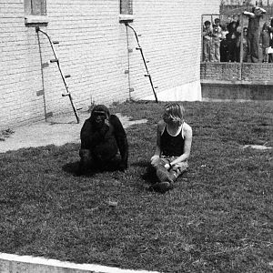 Outside Primate House - the keeper is Neil Spooner