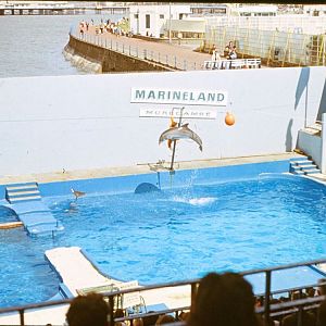 Marineland - Morecambe