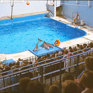 Marineland - Morecambe