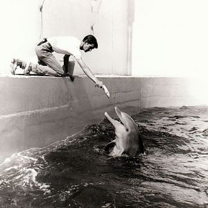 Marineland - Morecambe