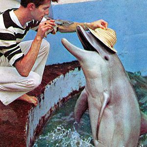 Marineland - Morecambe