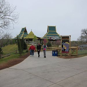 Elephant Exhibit