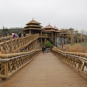 Elephant Exhibit