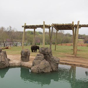 Elephant Exhibit