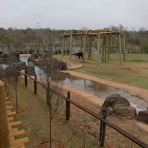 Elephant Exhibit