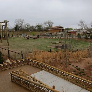 Elephant Exhibit