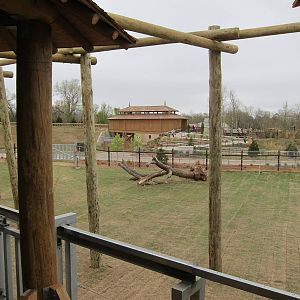 Elephant Exhibit