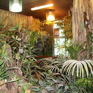 Zoo Wrocław - Butterfly pavilion