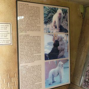 Snowflake notice on Gorilla enclosure