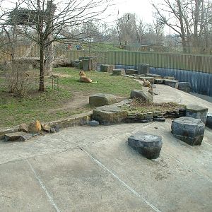 Prague Zoo - March 2011