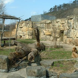 Prague Zoo - March 2011