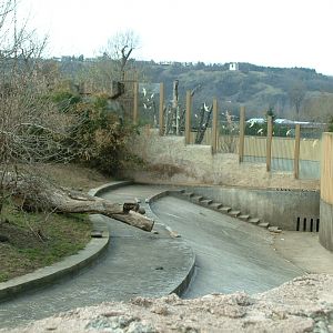 Prague Zoo - March 2011