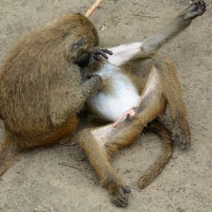 Zoo Wroclaw - RELAXATION