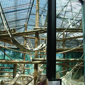 Chimpanzee indoor exhibit