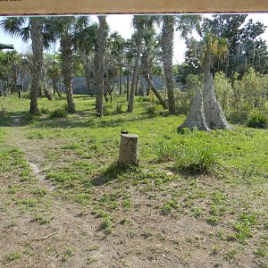 "Renovated" Gorrilla Exhibit