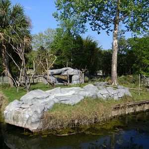 Ring-Tailed Lemur and Black & White Ruffed Lemur Exhibit