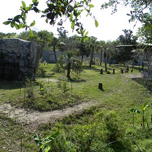 "Renovated' Gorrilla exhibit