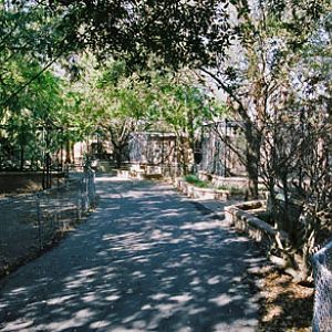walkway by standalone aviaries